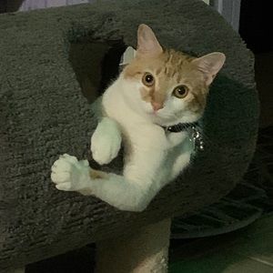 Meet your Posher, Annmarie